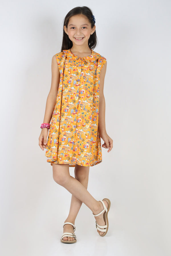 Stitched Cotton Dobby Printed Bib Collar A-line Ddress