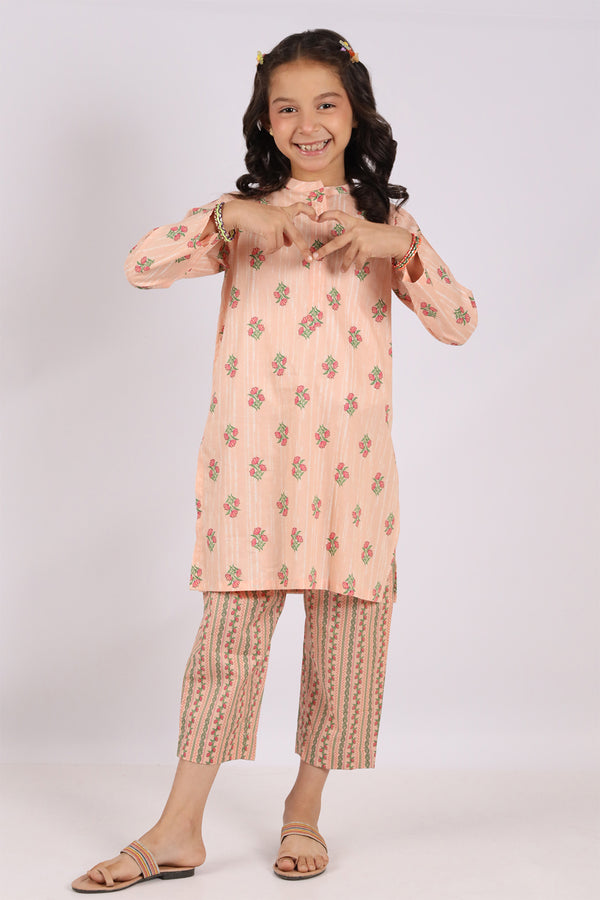 Printed Cambric Stitched Shirt/trouser For Kids