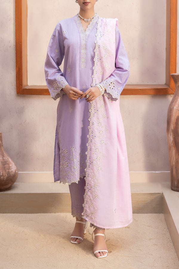 Solid Embroidered Slub Cotton Stitched 2 Piece (Shirt/Trouser)