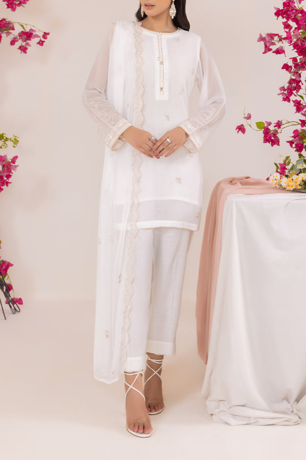 Solid Embroidered Chiffon Stitched 3 Piece