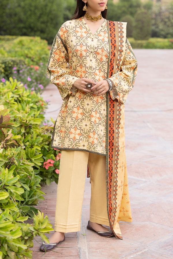 Unstitched Printed 3 Piece – in Lawn & Khaddar
