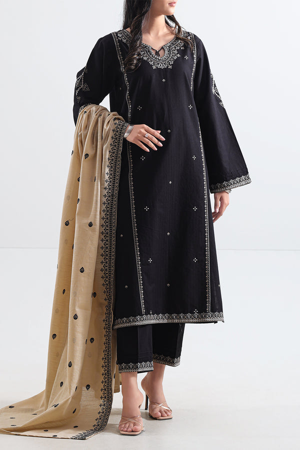 Solid Embroidered Slub Cotton Stitched 2 Piece (Shirt/Trouser)