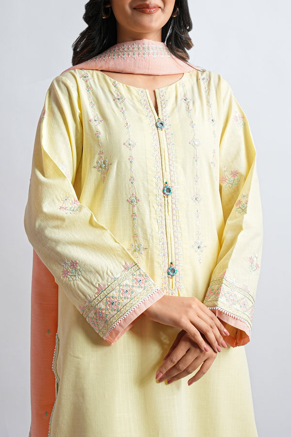 Solid Embroidered Slub Cotton Stitched 2 Piece (Shirt/Trouser)